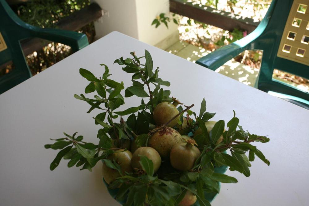 Caviri Apartment Galissas Exterior photo